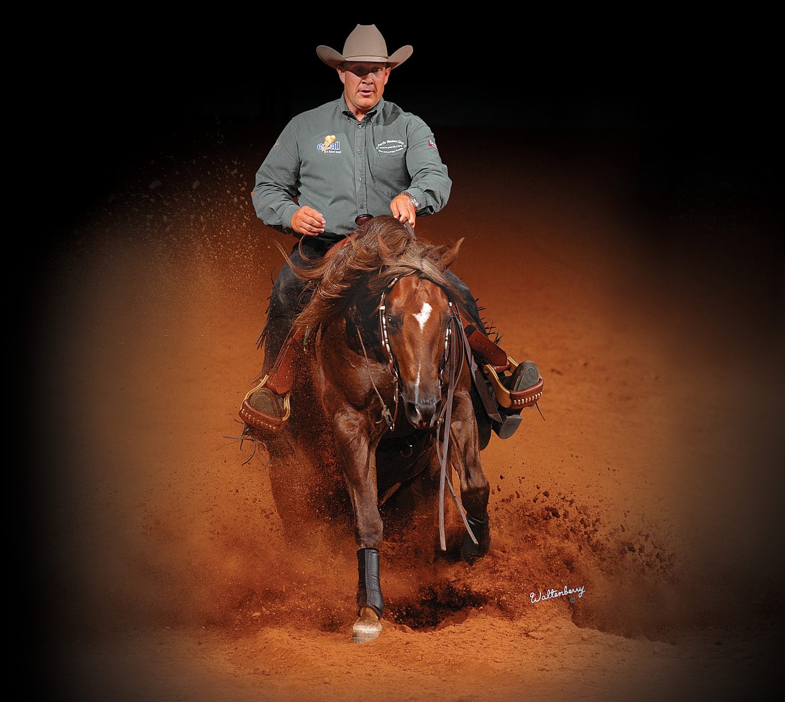 Walla Walla Whiz Performance Arcese Quarter Horses